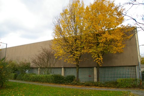 Spiellokal Gießener SV :: Sporthalle Grundschule Gießen-West